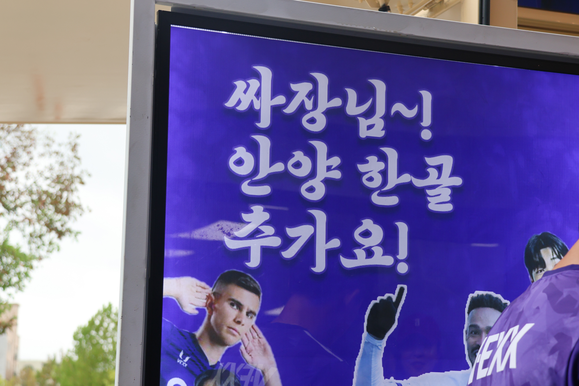 행사 사진